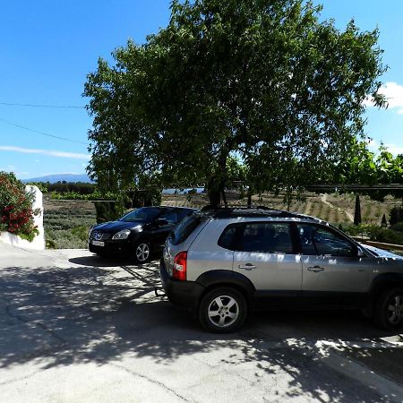 Casa Triana Apartment Cuevas del Campo Екстериор снимка